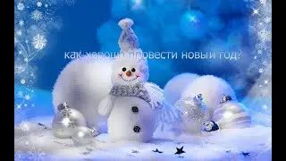 КАК ХОРОШО ПРОВЕСТИ НОВЫЙ ГОД? (Stikman 35)