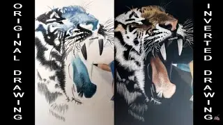 Inverted Drawing: a Yawning Tiger 🐯 | Jasmina Susak