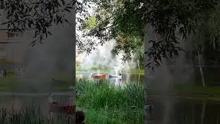 #деньвмф