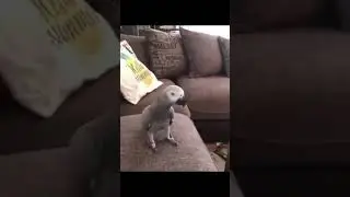 Get the hell out of here 
