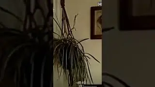 😱