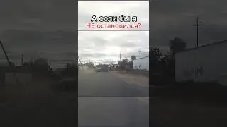 Неожиданный момент на дороге