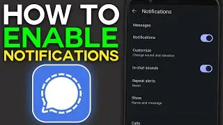 How to Enable Notifications on Signal App