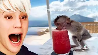 Funniest TikToks of the Day!