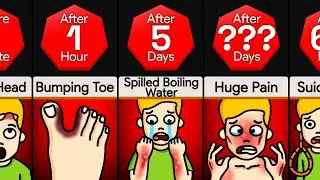 Timeline: What If Pain Accumulated Instead of Healing