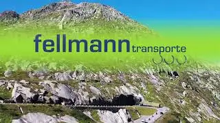 Fellmann Transporte, Baar