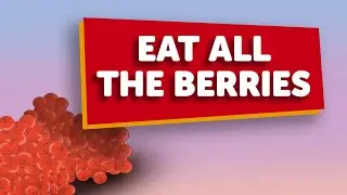 The Baboon, the Dassie and the Berries - Alternate Ending 02
