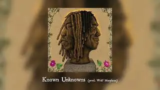 MAVI - Known Unknowns (Official Audio)