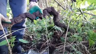 Ищем  ремонтно полевой стан
