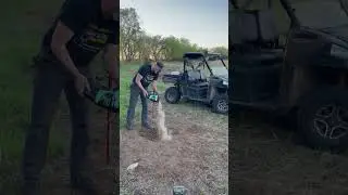 Time for deer mineral