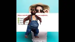 4 sunglass store  linked in ad split Ad friendly