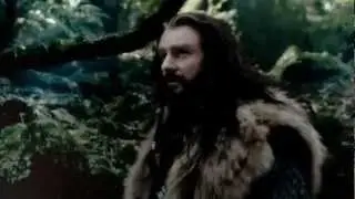 ► Thorin Oakenshield; 