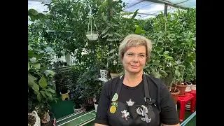 Якщо я прокидаюсь і  бачу світанок.....