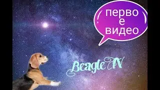 360 12 1 27 Jan272019