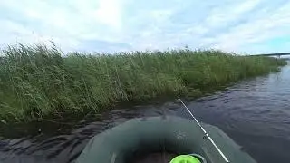 Река Баргузин Большая вода Клева нет