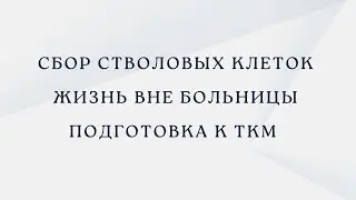 Собрали стволовые клетки за один день // Подготовка к ТКМ // Работа на фестивале 💃