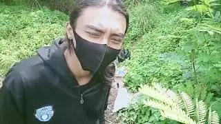live Coli - Cowok Liar