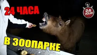 НОЧЬ В закрытом ЗООПАРКЕ. Залезли ко льву! 24 hours in the zoo | 7.40