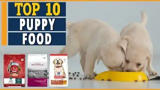10 Best Puppy Foods | Ultimate Guide To 2021's 🐶 ✅