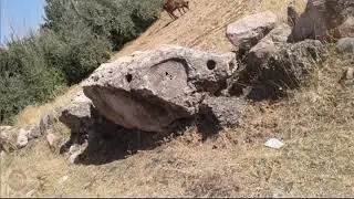 Define İşaretleri Çözümünde 17 Değişik Yüzey Okuma