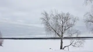 Прогулка до озера