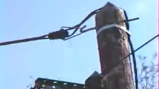 DN 123