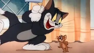 Tom and Jerry Talking Compilation 