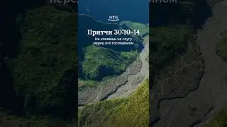 Притчи 30:10-14 современный перевод Библии #shorts