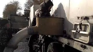 Выпуск сазана, Волга, Ульяновск