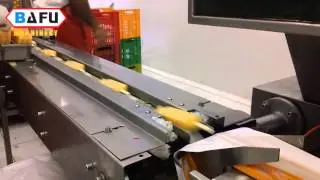 Ice Popsicle packing machine, Ice lolly packing machine, Ice pop packing machine