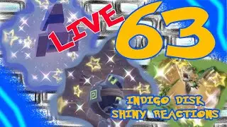The Shiny Academy Challenge: Shiny Montage 62 Shiny Reactions and other best bits