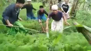 Tercyduk di semak semak