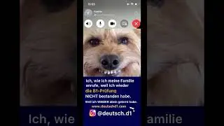 B1 nicht bestanden oder verstanden?