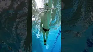 о легких пловцов 