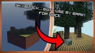 Modded Skyblock BUT, I don't understand anything.