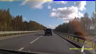 Лось на трассе Северодвинск-Архангельск