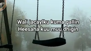 Muuse Ismaaciil Qalinle | Heesta; Wali Jacaylku Kuma gallin | Lyrics