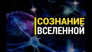 Not for everyone: Could the Universe have consciousness?