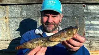Alabama State Record Toad Fish Bowfishing BAA Submission