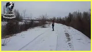 Реакция Басара на незнакомца. И реакция незнакомца на Басара.