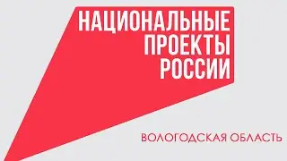 Национальные проекты России: лес и другие нацпроекты