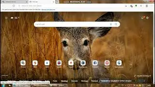 CARA DOWNLOAD WALLPAPER MICROSOFT EDGE | BING WALLPAPER (How To Download Microsoft Edge Wallpaper)