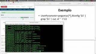 Zabbix | 53. UserParameter flexível