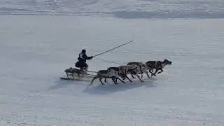 День оленевода 2024 / Город Салехард