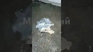 Ремонт гаража руками айтішники)
