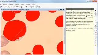 ADCIS Products : Aphelion Lab&Dev 4.0 (Image Analysis and Processing Software) : Object Editing Task
