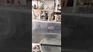 БОЛЬШАЯ ФЛЯГА ИЗ СССР.