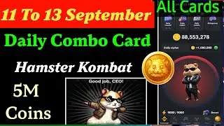 Hamster Kombat Daily Combo Cards 10 September | 11Th To 12 September | Hamster Daily Combo Today