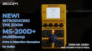 Introducing the Zoom MS 200D+  - With Kappa Tannabe