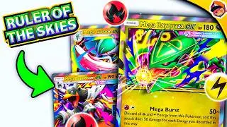 NEW Supporter Cards Are INSANE! Also Promo Card & Deck Sharing News!